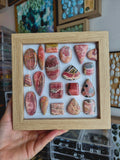 Rhodochrosite x1