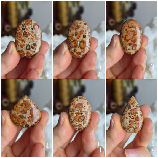 Leopard Skin Jasper