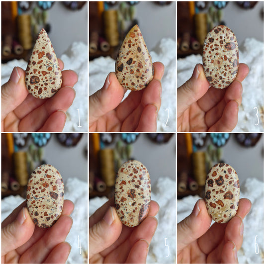 Leopard Skin Jasper